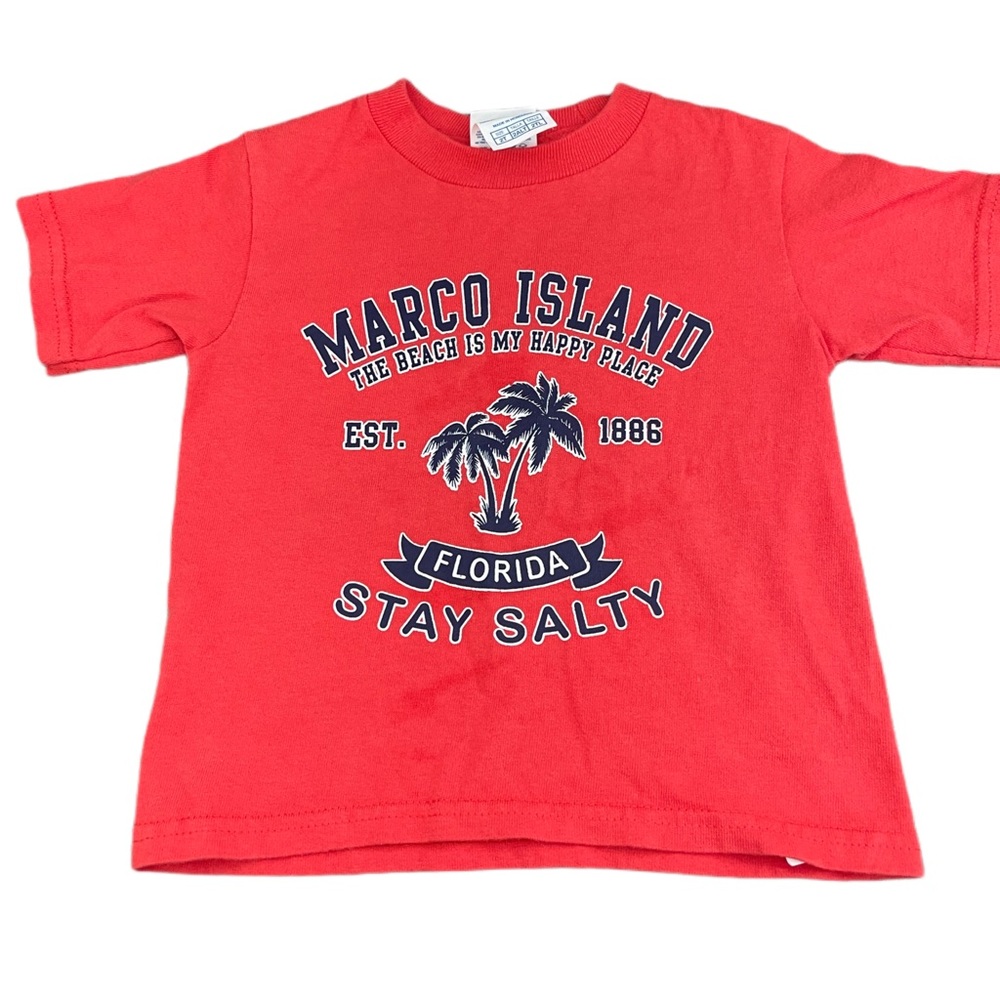 Toddler Graphic Tee size 2t
